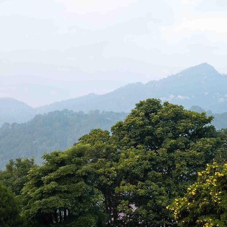 The Fern Surya Resort Kasauli Hills, Dharampur Exterior photo